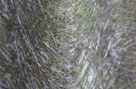 Itchington fibreglass roof work